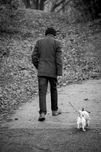 a man and his dog enjoy a walk in the park