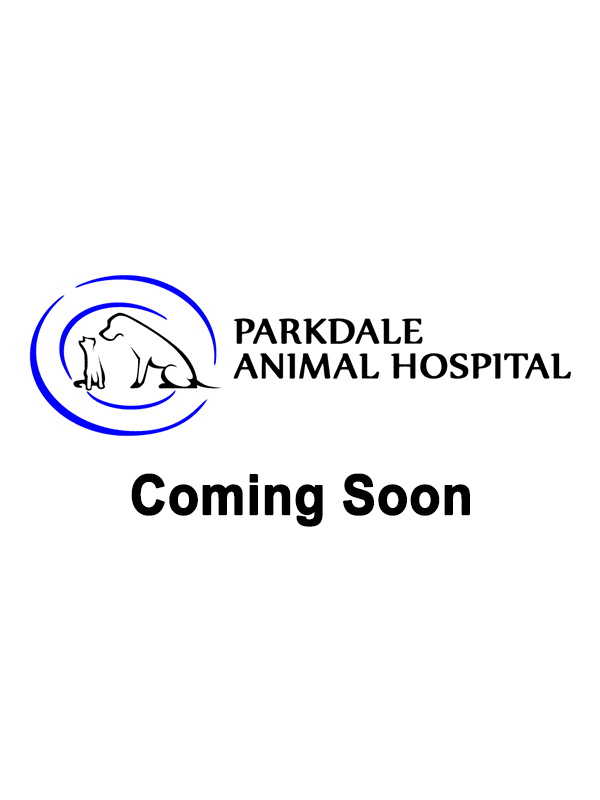 coming soon placeholder