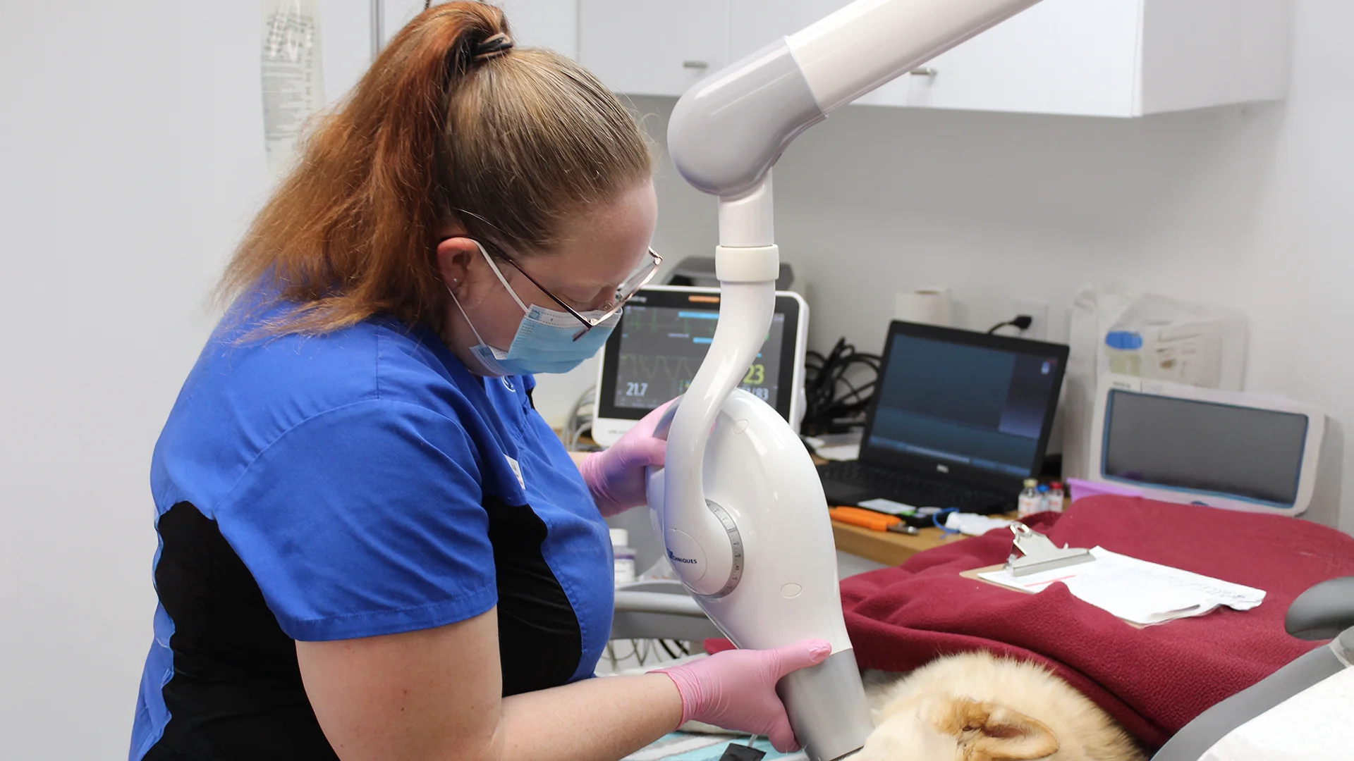 A veterinary technician in a mask and gloves positioning an X-ray machine over a sedated dog on an exam table.