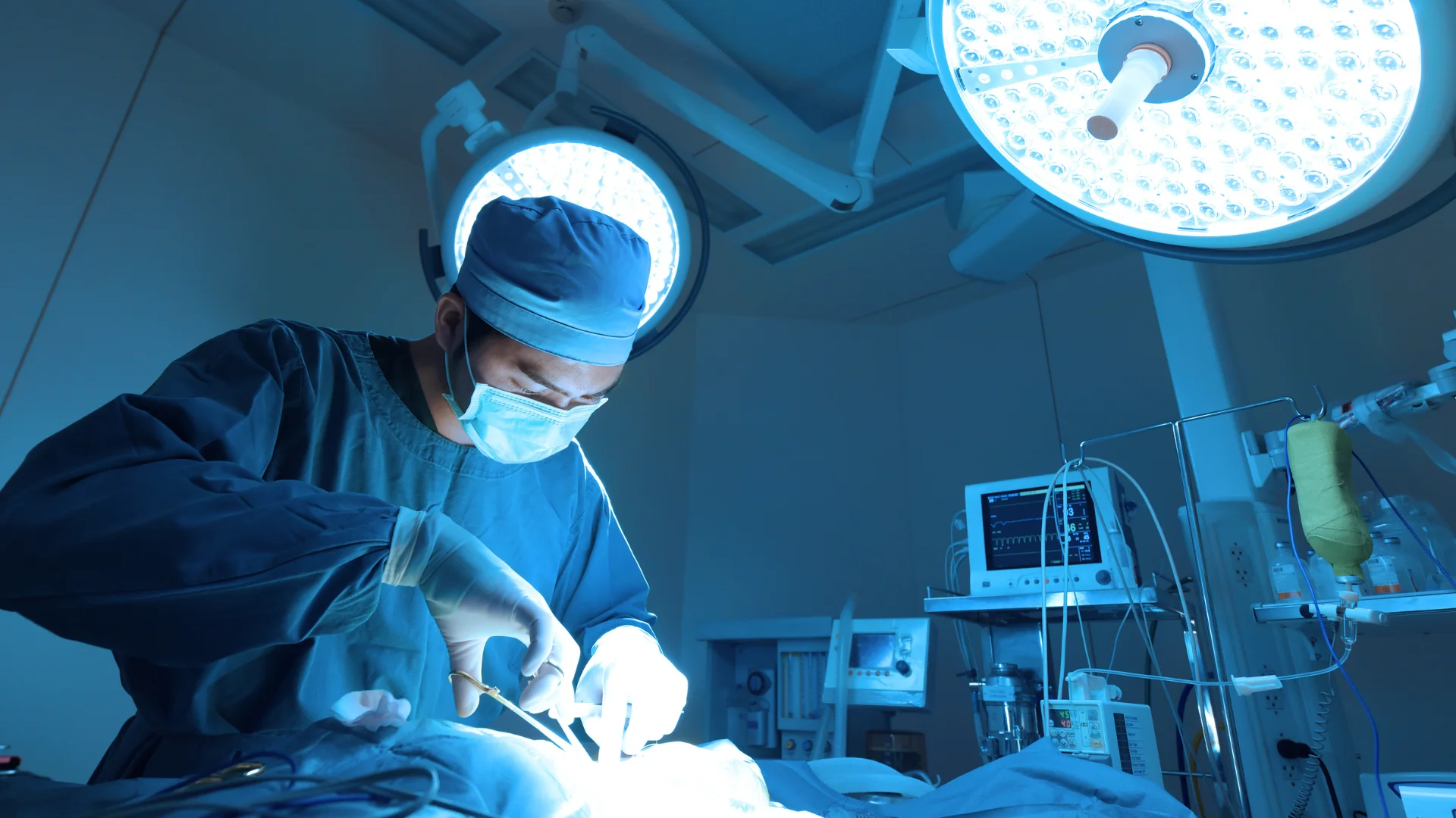 A veterinarian performs soft tissue surgery on a pet under bright surgical lights, with monitoring equipment in the background.