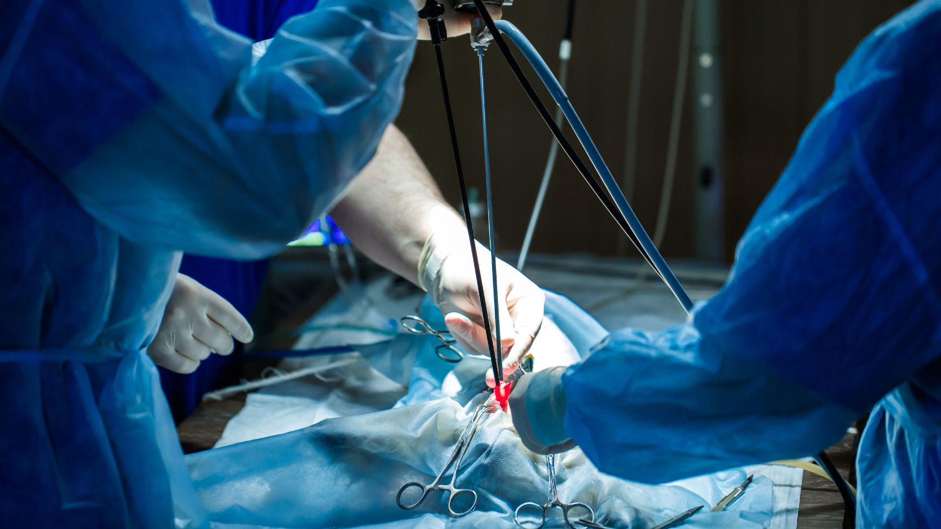 Laparoscopic surgery on a pet