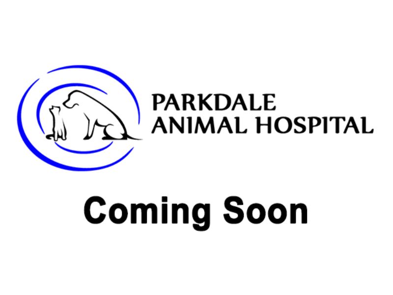 coming soon placeholder
