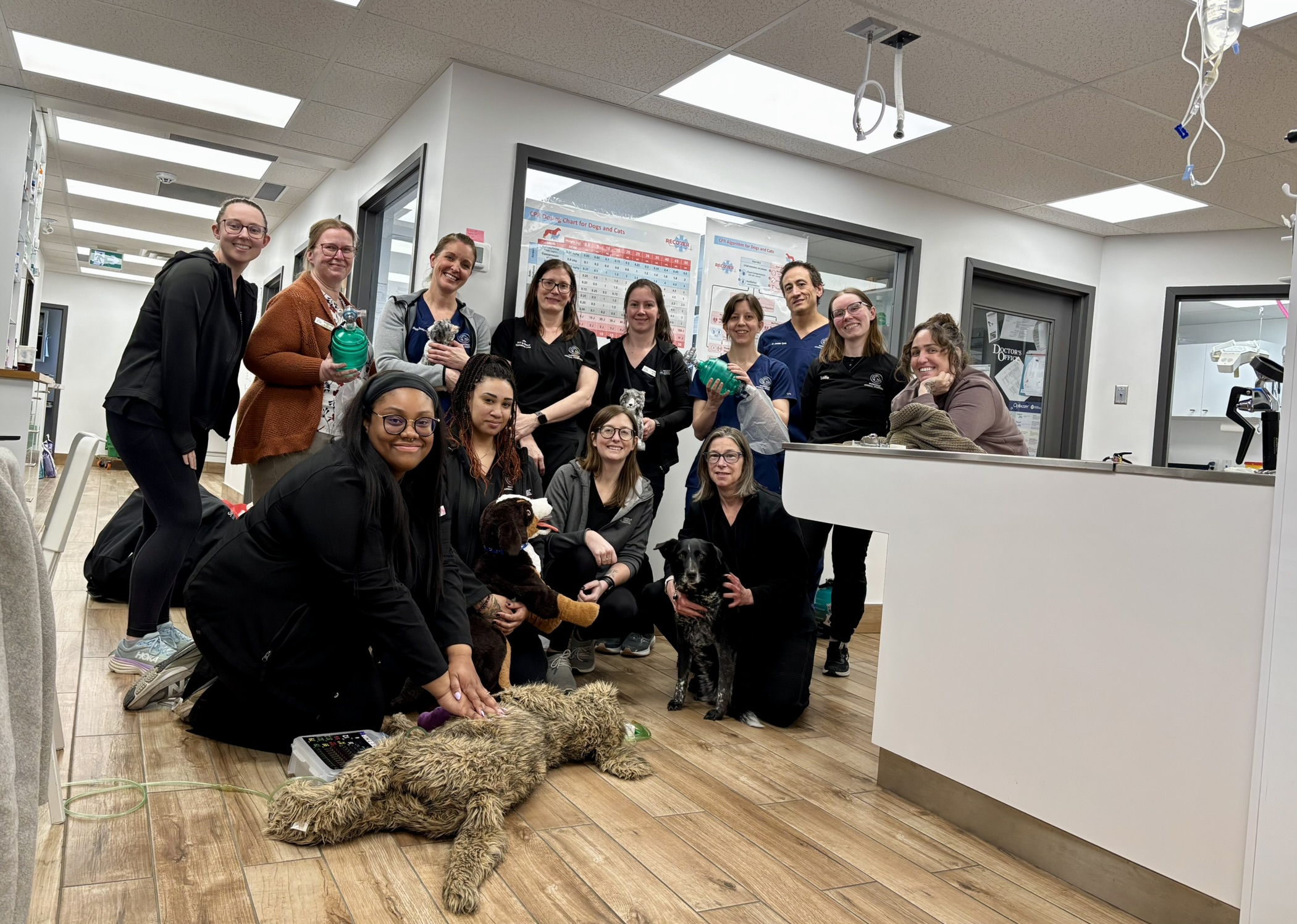 A group of veterinary team members smiles warmly in front of the Parkdale Animal Hospital sign, showing camaraderie and team spirit.