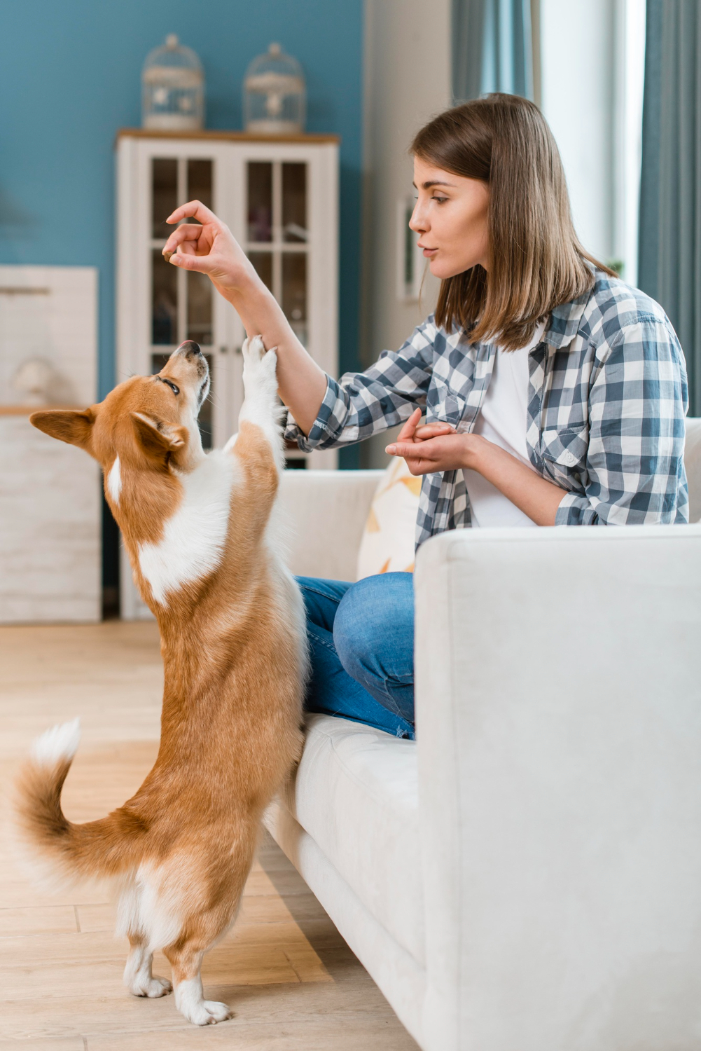 Woman on couch giving her dog a treat