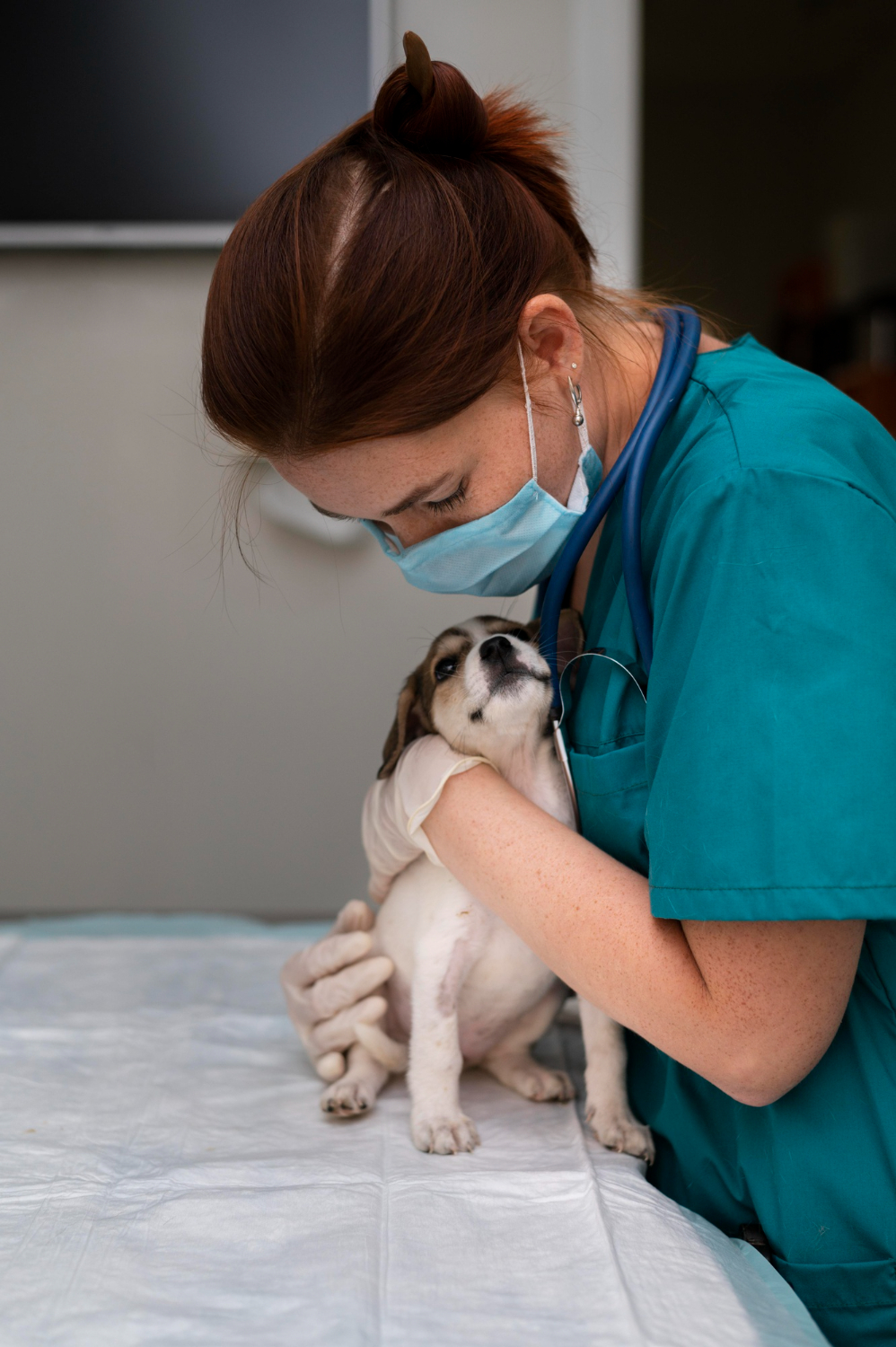 a veterinarian hold a puppy