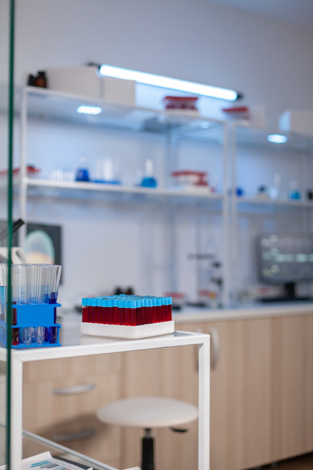 dog lab room