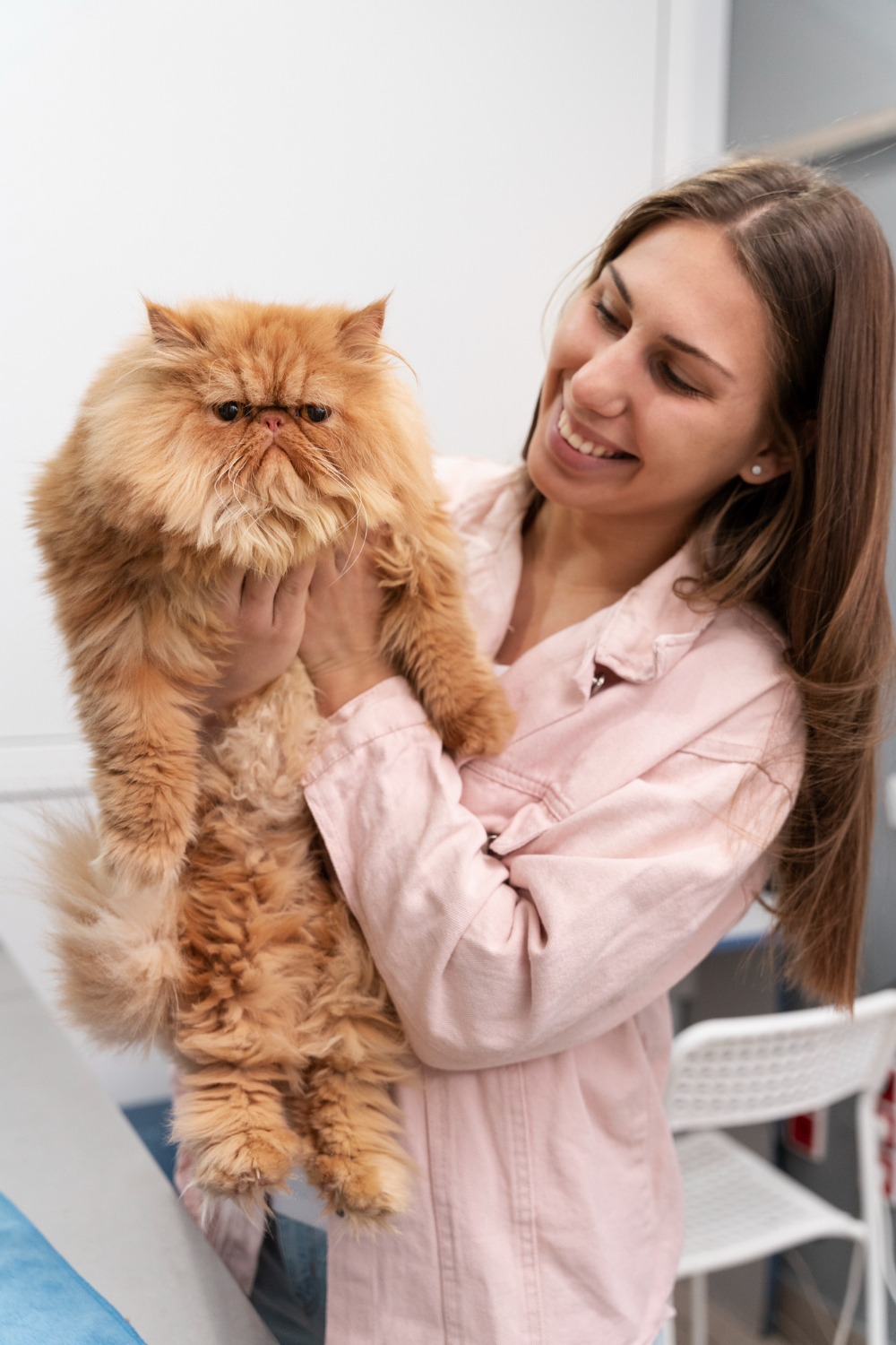 person holding a cat
