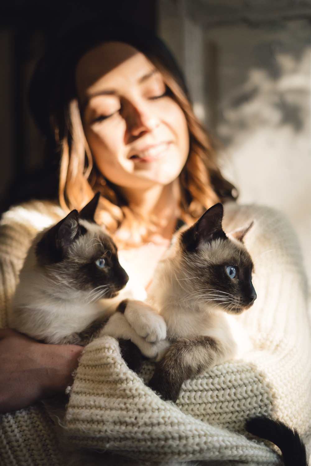 person holding a two cats