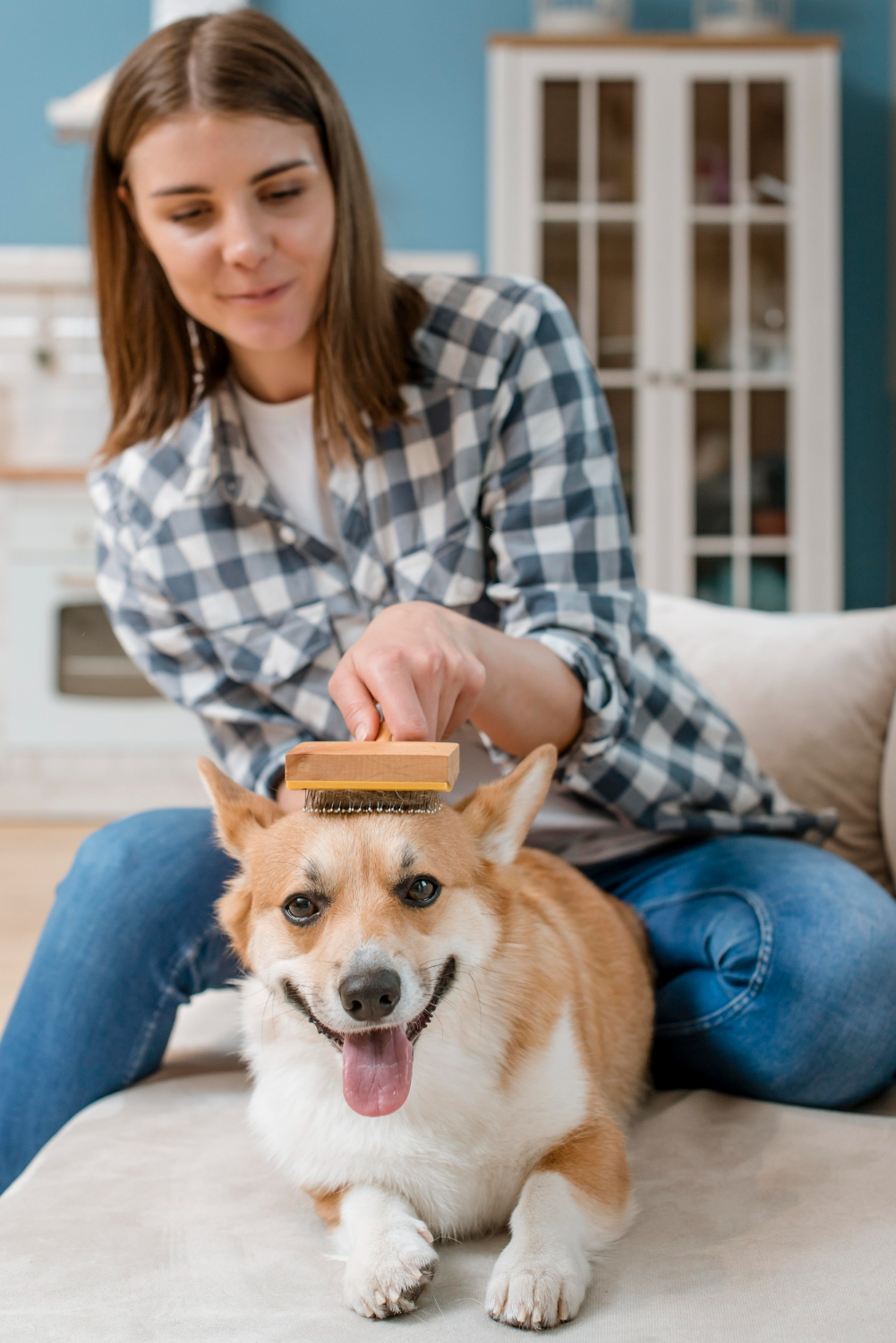 woman brushing her dog
