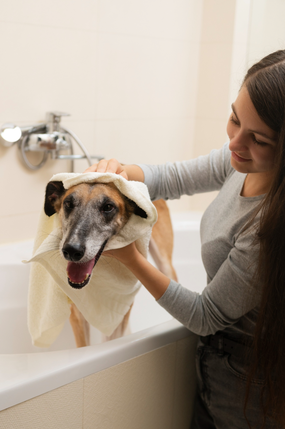 woman washing dog