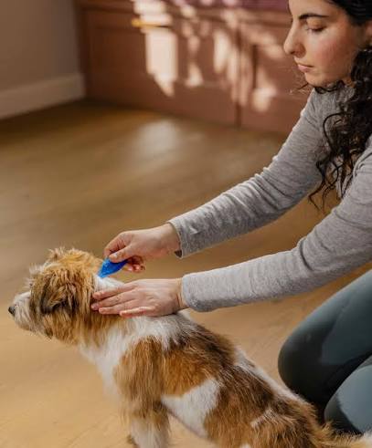 women ticking a dog on head